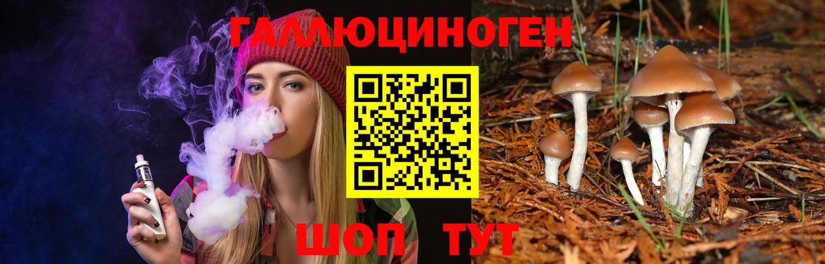 Псилоцибиновые грибы Psilocybe  Псилоцибиновые грибы Psilocybe  Корсаков  как найти закладки  Вход с VPN 